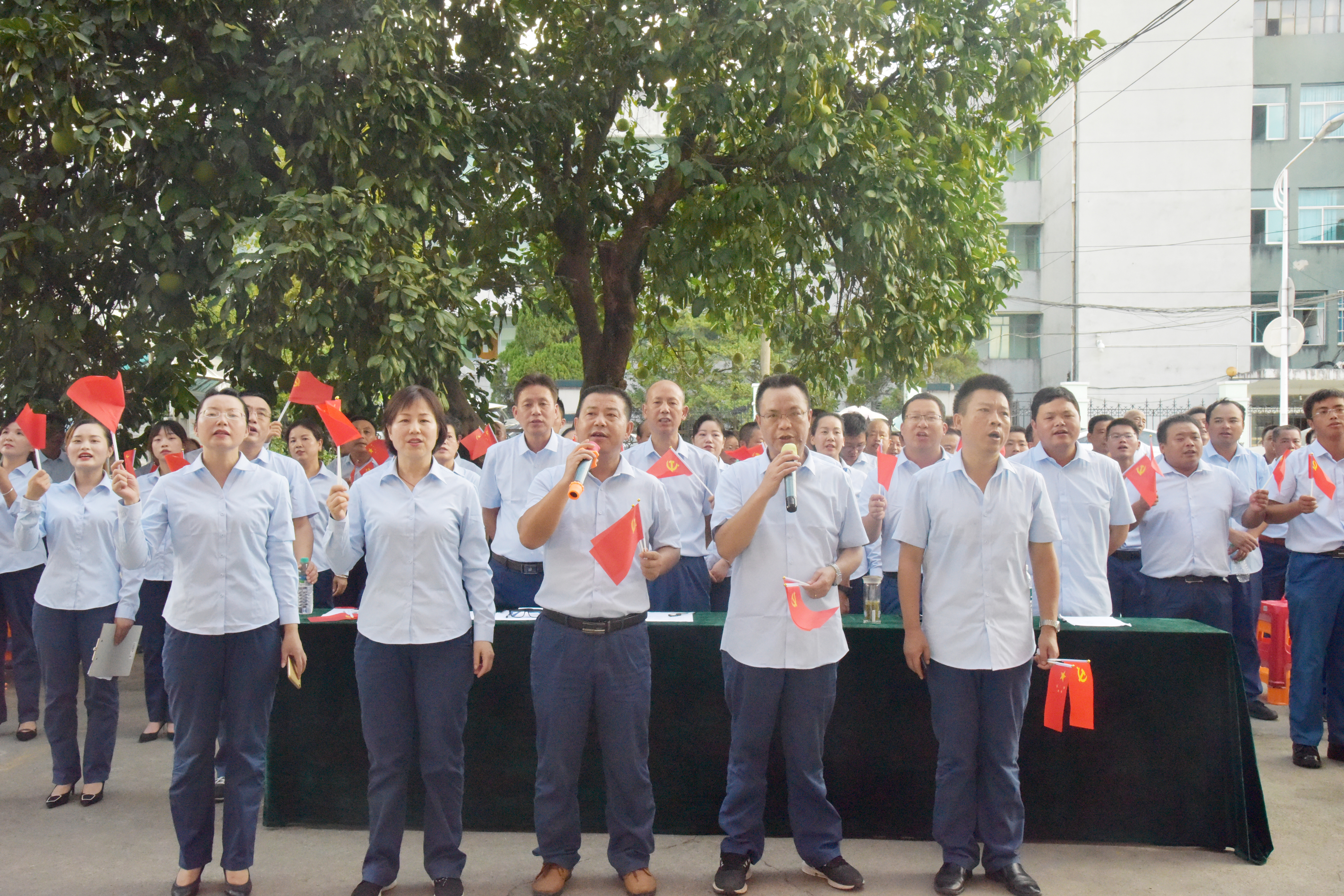图片2-.jpg